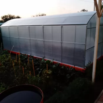 Отзыв от Константин, 31.08.2025 о Теплица Царская Люкс 3м 